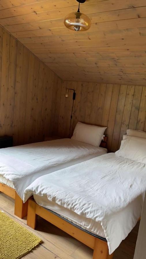 Chalet Luxueux Châtel Εξωτερικό φωτογραφία