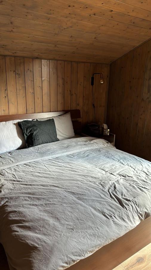 Chalet Luxueux Châtel Εξωτερικό φωτογραφία