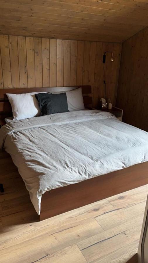 Chalet Luxueux Châtel Εξωτερικό φωτογραφία