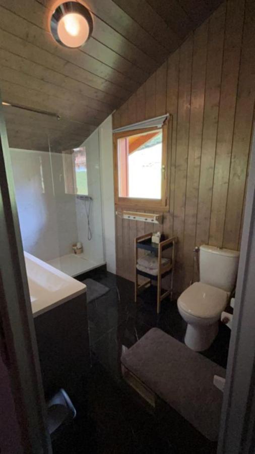 Chalet Luxueux Châtel Εξωτερικό φωτογραφία